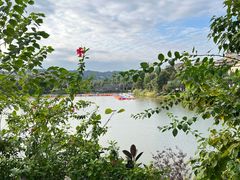 -枫香湖儿童公园