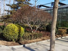 -南宫五洲植物乐园