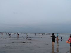 -日照海滨国家森林公园