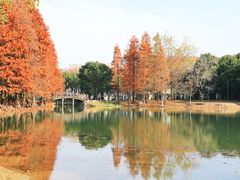 -石湖景区