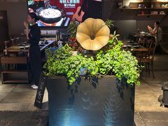 -同仁四季椰子鸡(罗湖国贸店)