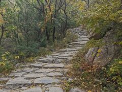 -阳台山自然风景区