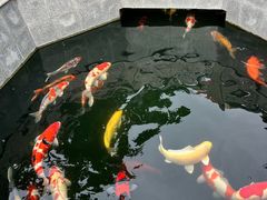 -西安市广仁寺
