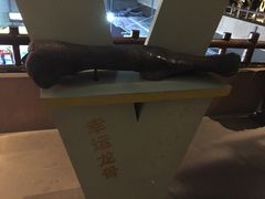 -世界恐龙谷景区