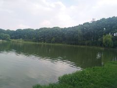 -美兰湖景区