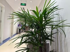 -北京地坛口腔门诊部