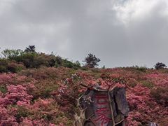 -木兰云雾山