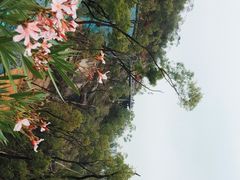 -板樟山森林公园