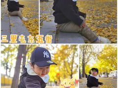 -三里屯东五街银杏大道