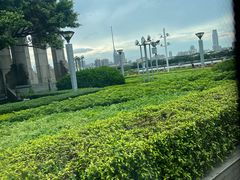 -晓港公园