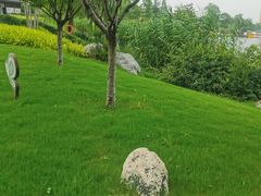 -桃花岛公园