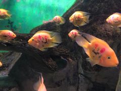 -常州海昌海洋探索馆
