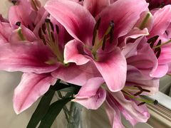 -大连中升雷克萨斯(华北路店)