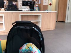 -爱妮康宠物医院·干细胞免疫细胞·肿瘤·心脏(张江店)