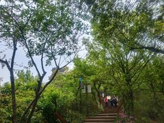 -杭州半山国家森林公园