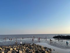 -南汇嘴观海公园