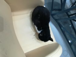 -和良形象