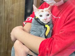 -PETKIT小佩宠物·低压洗护(国顺东路店)