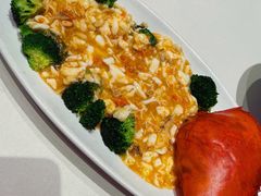 -蝶园·装修中(BFC外滩金融中心店)