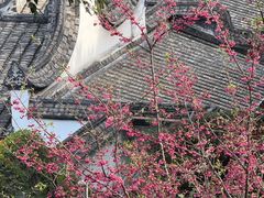-乌山风景区