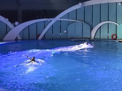-海合安青岛极地海洋公园