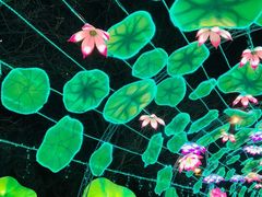 -沈阳奥体冰雪嘉年华