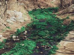 -白水寺森林公园