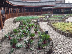 -青城山六善酒店·紫氣園中餐厅