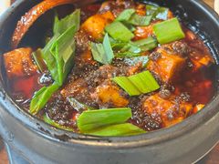 -陈麻婆豆腐(旗舰店)