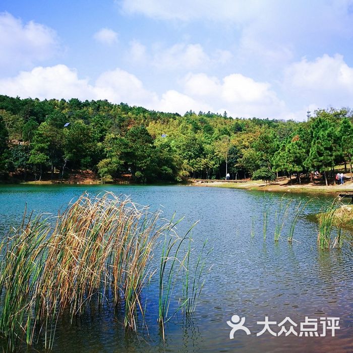 无想寺森林公园