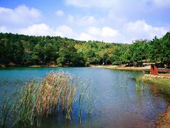 -南京市无想山景区