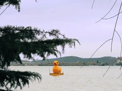 -云龙湖旅游景区