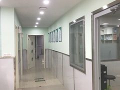 -佳雯宠物医院(金华南路分院)