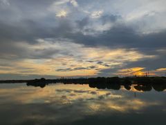 -贡湖湾湿地公园