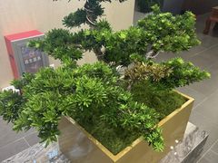 -通透堂中医·精准推拿(旗舰店)