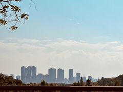 -西湖风景区-江洋畈生态公园