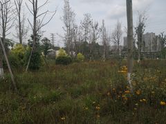 -白鹭湾湿地公园