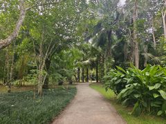 -中国科学院西双版纳热带植物园
