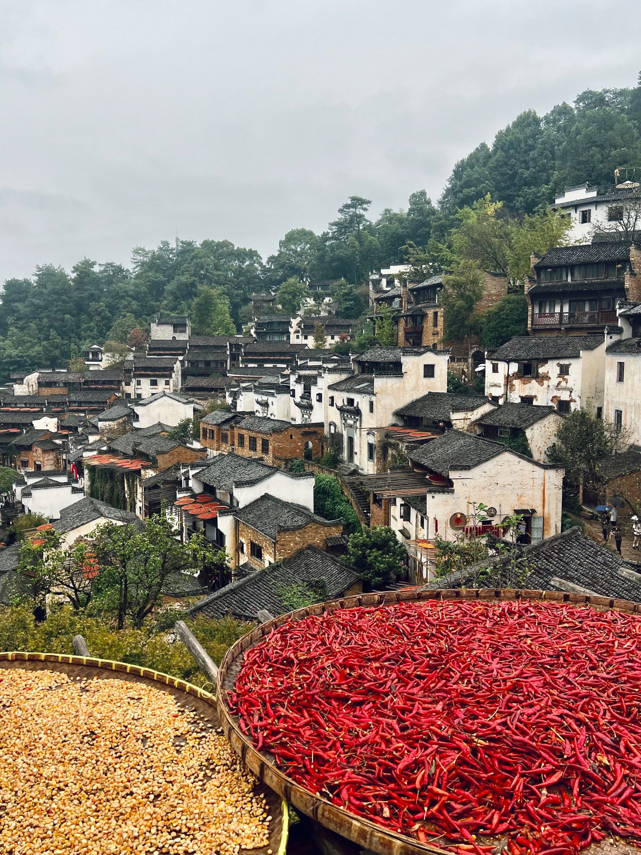 江西海拔 最高的地 方是婺源相关图片1