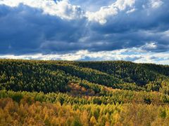 -塞罕坝国家级自然保护区