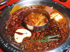 -谭鸭血老火锅(娄星区长青街店)