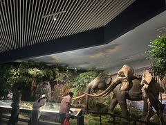 -湖南省地质博物馆