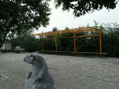 android_upload_pic-兰陵国家农业公园