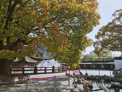 -龙华寺