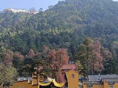 -九华山风景区