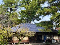-名古屋城