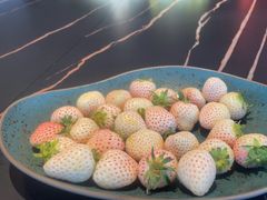 -宝燕壹号景观餐厅(龙盛国际商业广场店)