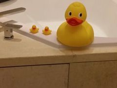 -厦门海港英迪格酒店(中山路店)