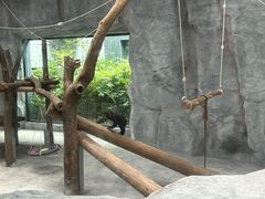 -武汉动物园