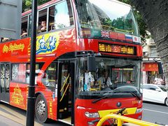 -广州都市观光巴士(粤陶巴)